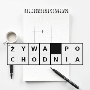 Hasło krzyżówkowe kaskader zastępujący aktora w scenie pożaru - żywa pochodnia – rozwiązanie, synonimy, podpowiedzi i definicje krzyżówkowe